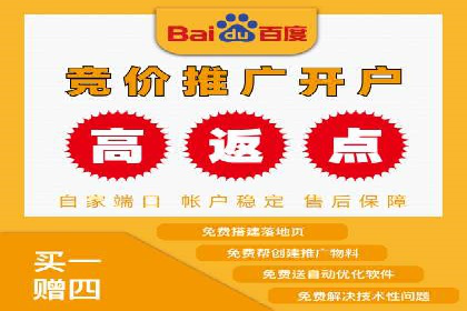 百度推广全攻略：成功案例剖析